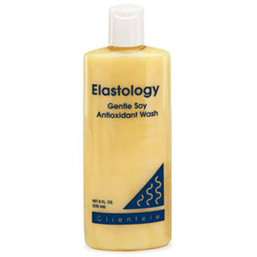 Clientele Gentle Soy Antioxidant Wash 8oz